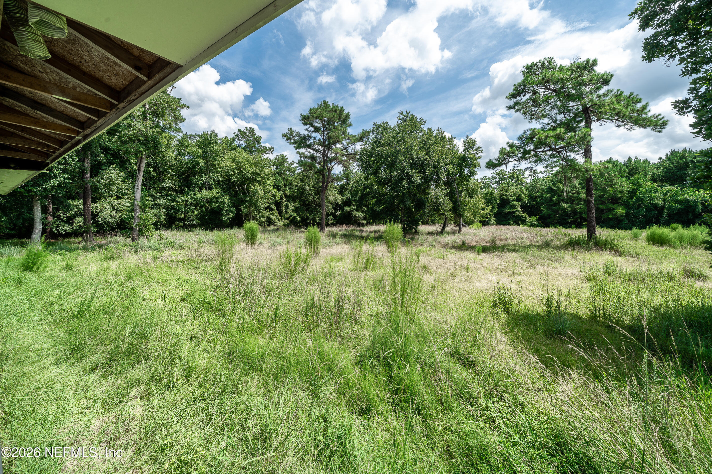 3532 Baker Road Middleburg, FL 32068 - Photo 37 of 39 Backyard