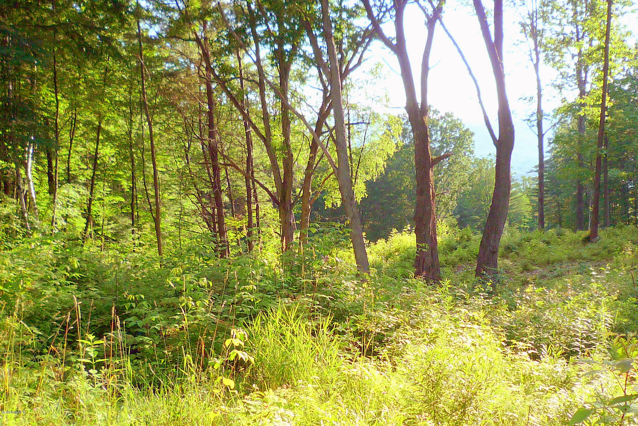 Lot 6 Sweet Farm Road Williamstown, MA 01267 - Photo 3 of 11 View