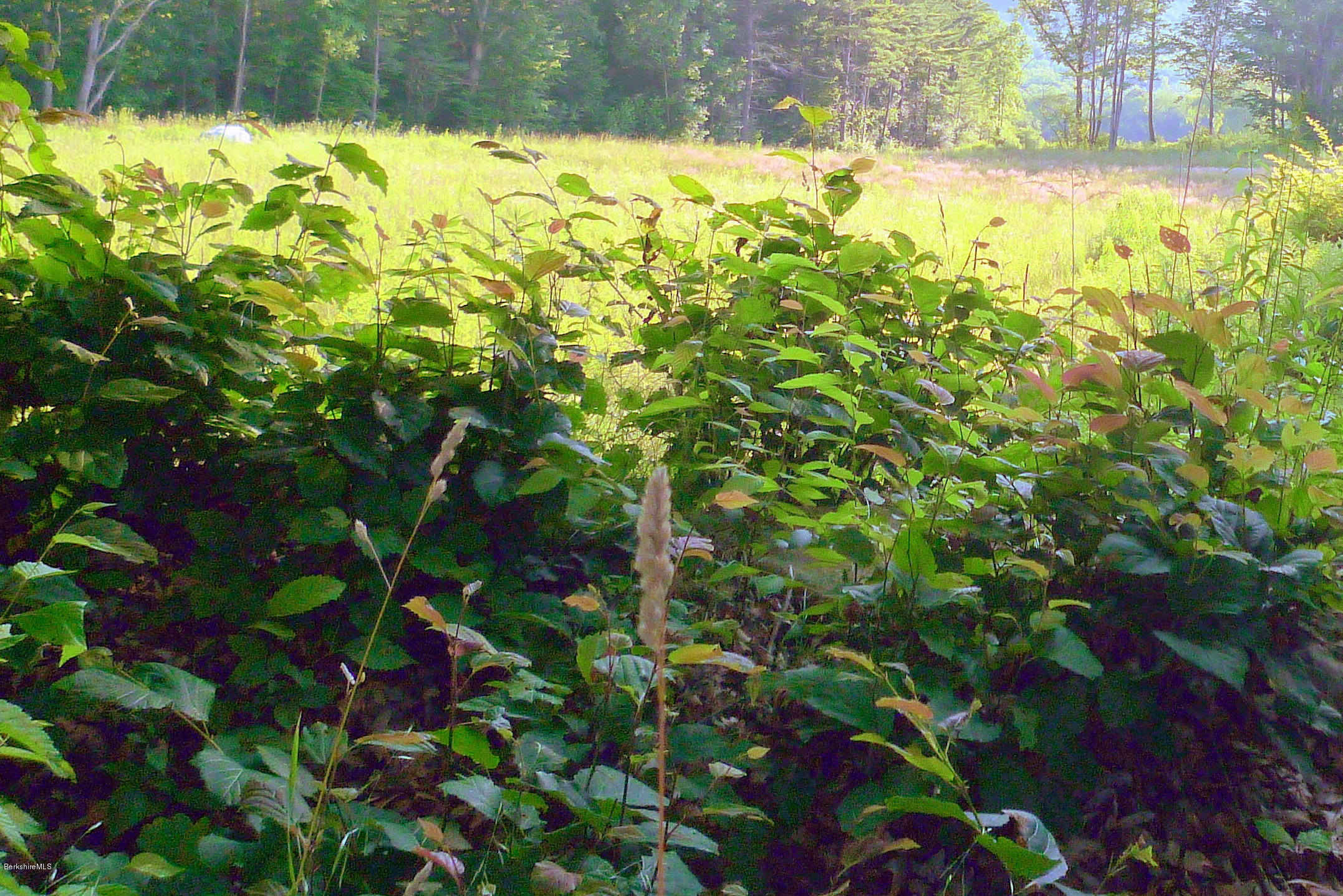 Lot 6 Sweet Farm Road Williamstown, MA 01267 - Photo 6 of 11 Veiw