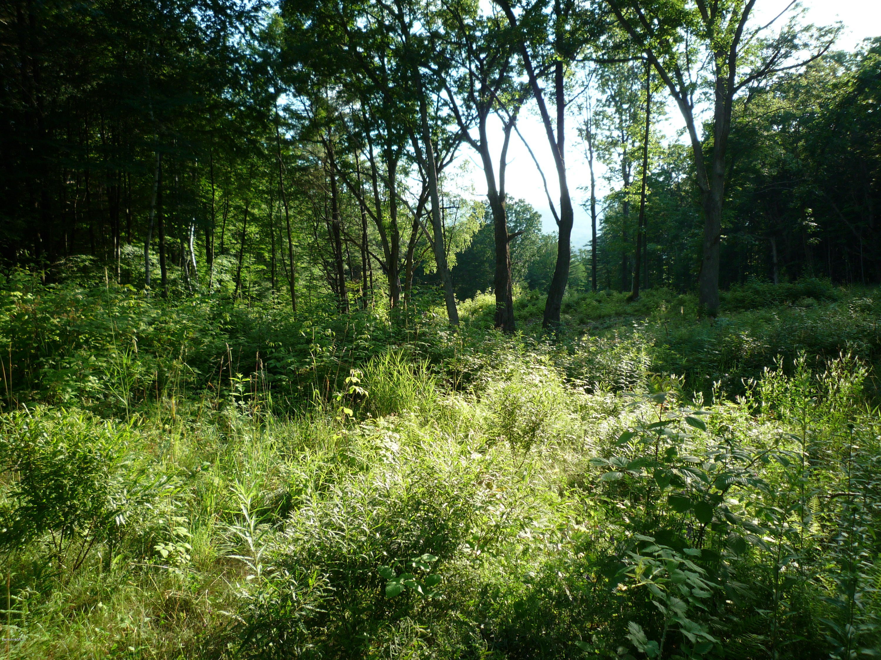 Lot 6 Sweet Farm Road Williamstown, MA 01267 - Photo 10 of 11 View