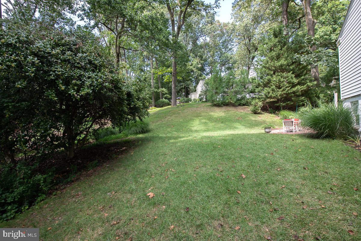 686 Vassar Road Wayne, PA 19087 - Photo 40 of 41