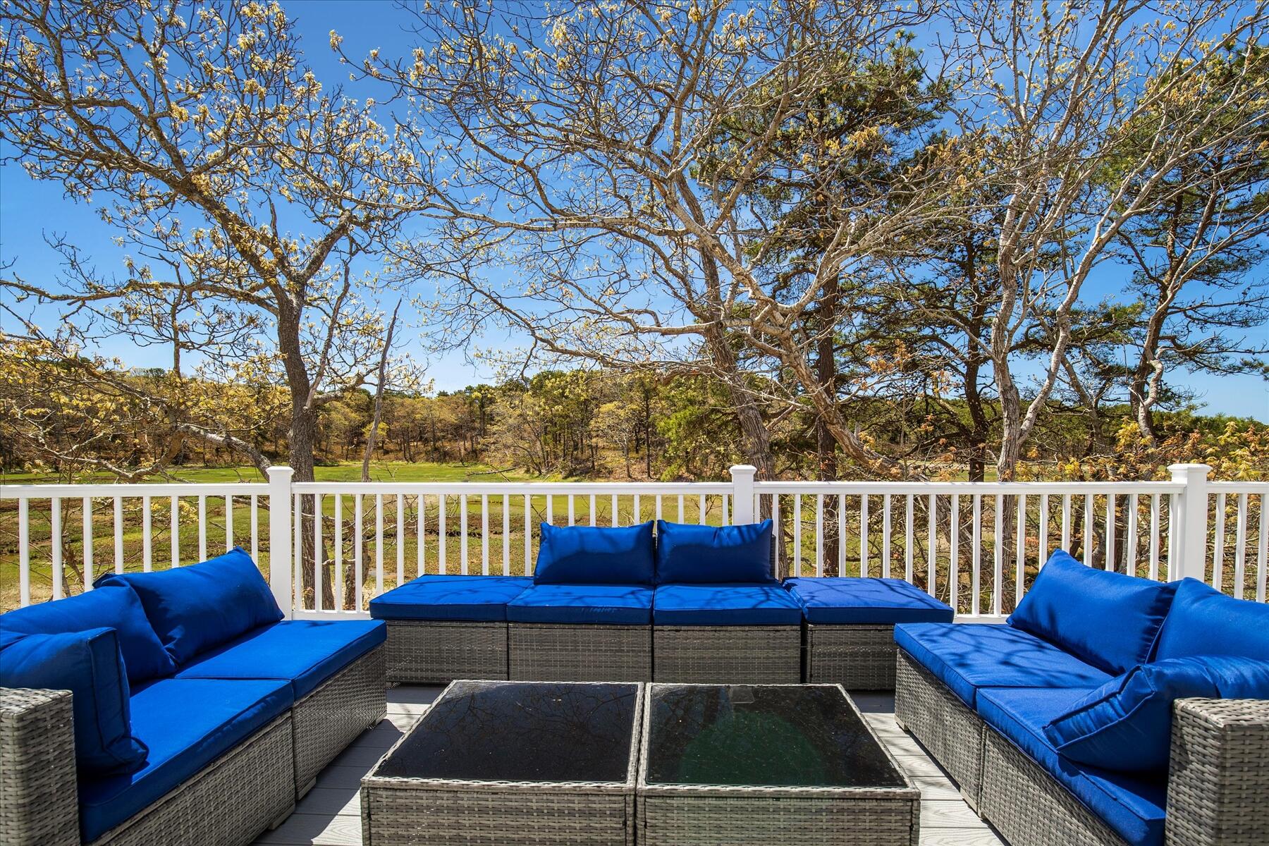 260 Blue Heron Road Wellfleet, MA 02667 - Photo 26 of 63 066-MG_5863-r