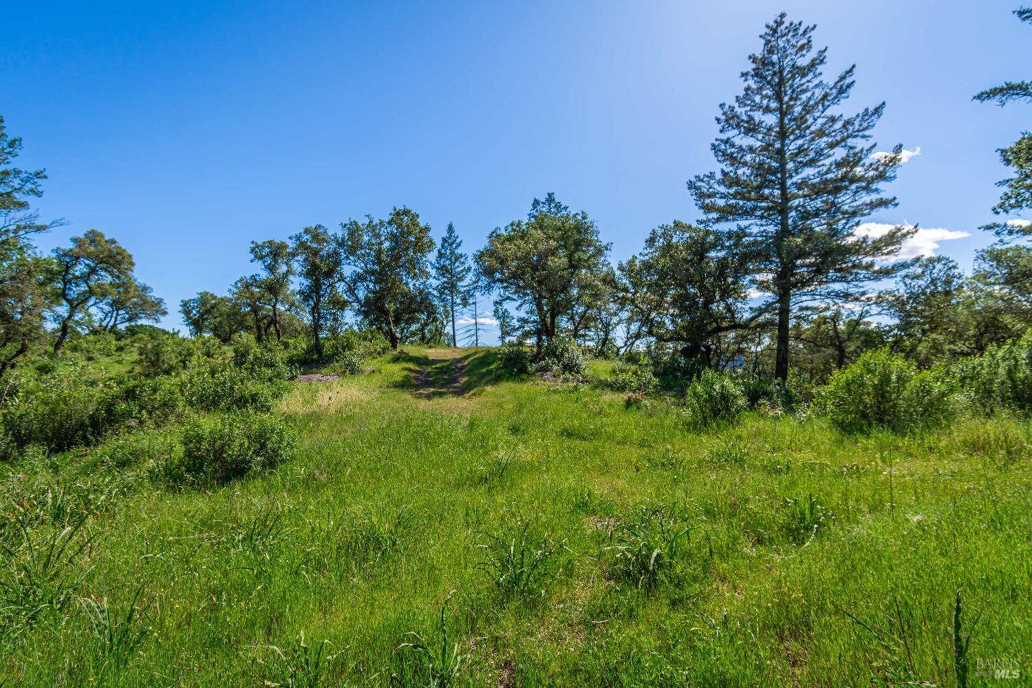 0 Dry Creek Road Napa, CA 94558 - Photo 77 of 98
