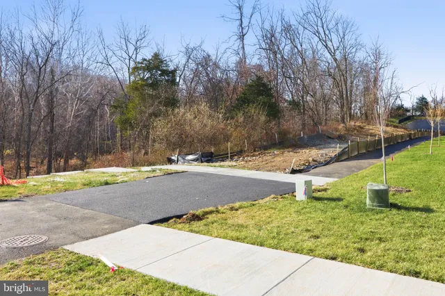 a view of a yard with large trees
