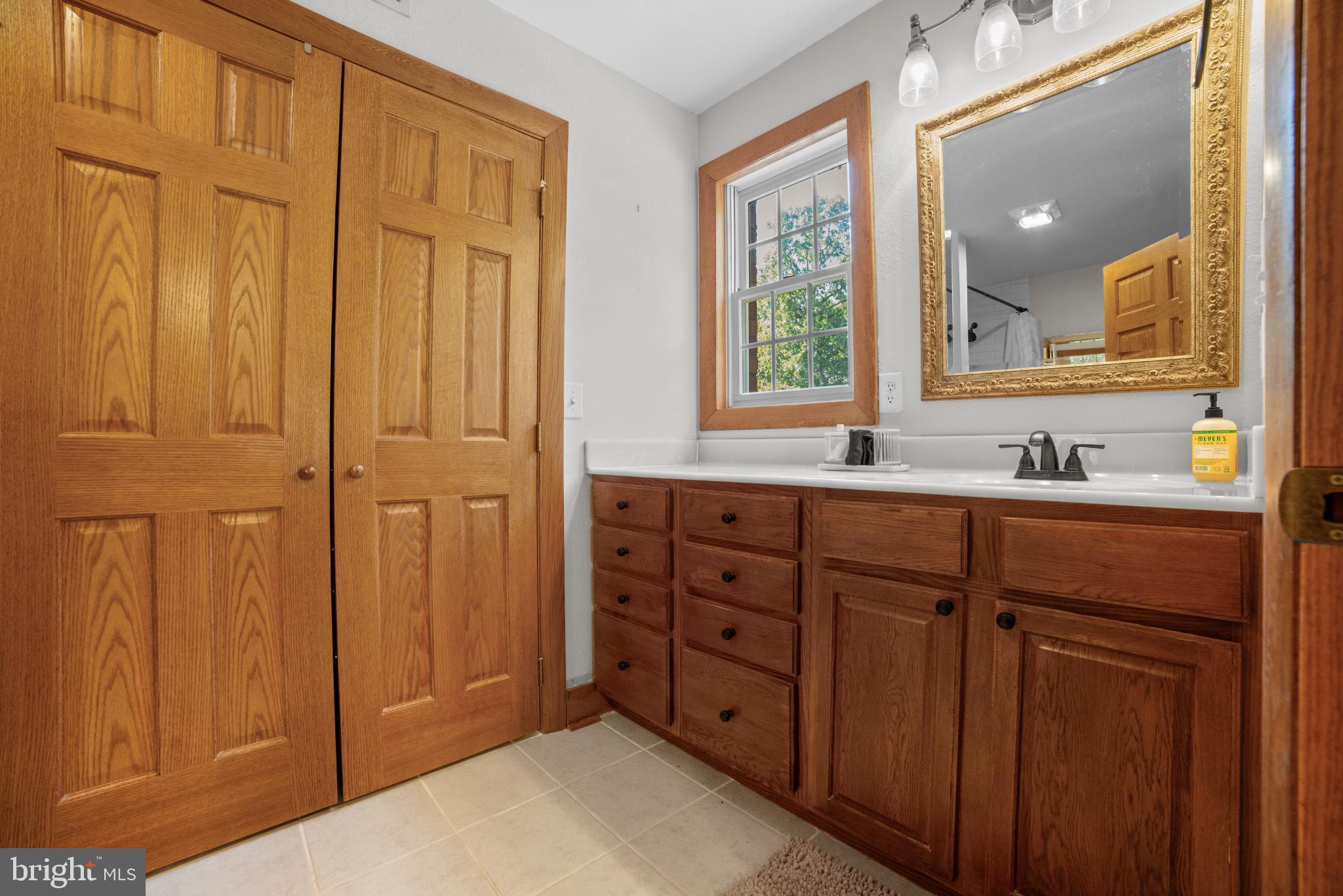 1318 Locust Grove Church Road Orange, VA 22960 - Photo 15 of 42 Primary bathroom with warm wood accents.