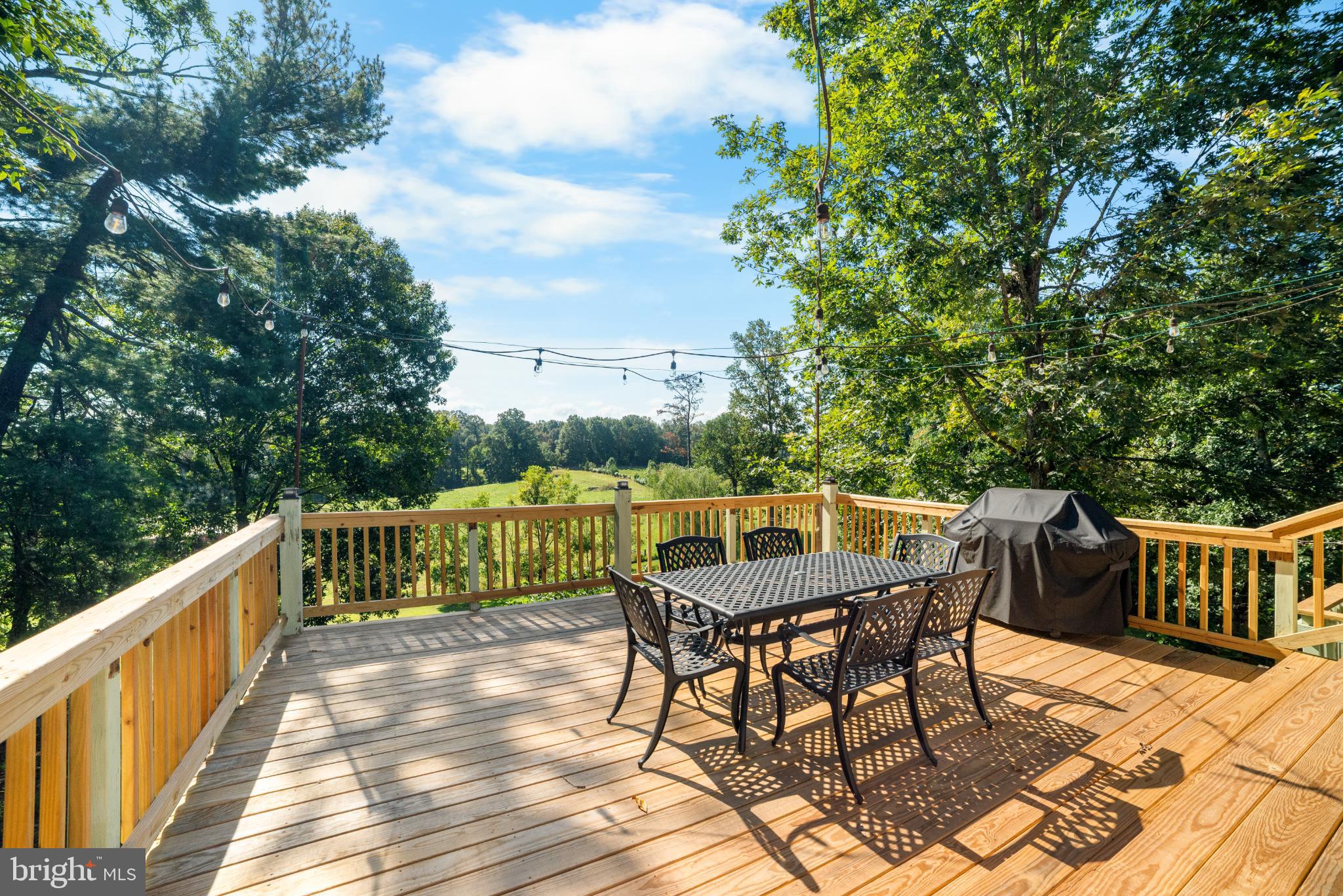 1318 Locust Grove Church Road Orange, VA 22960 - Photo 35 of 42 Spacious deck with sweeping views of nature.