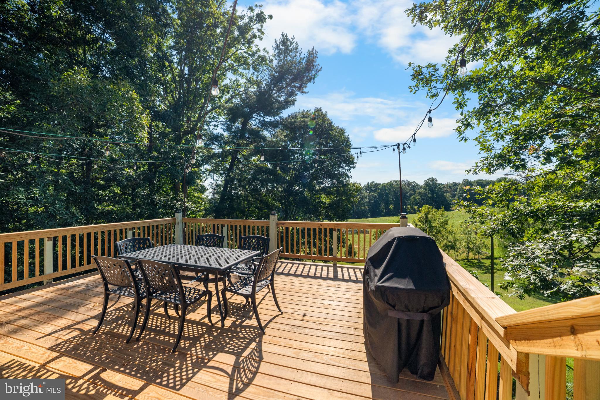 1318 Locust Grove Church Road Orange, VA 22960 - Photo 37 of 42 Relaxing deck surrounded by natural beauty.
