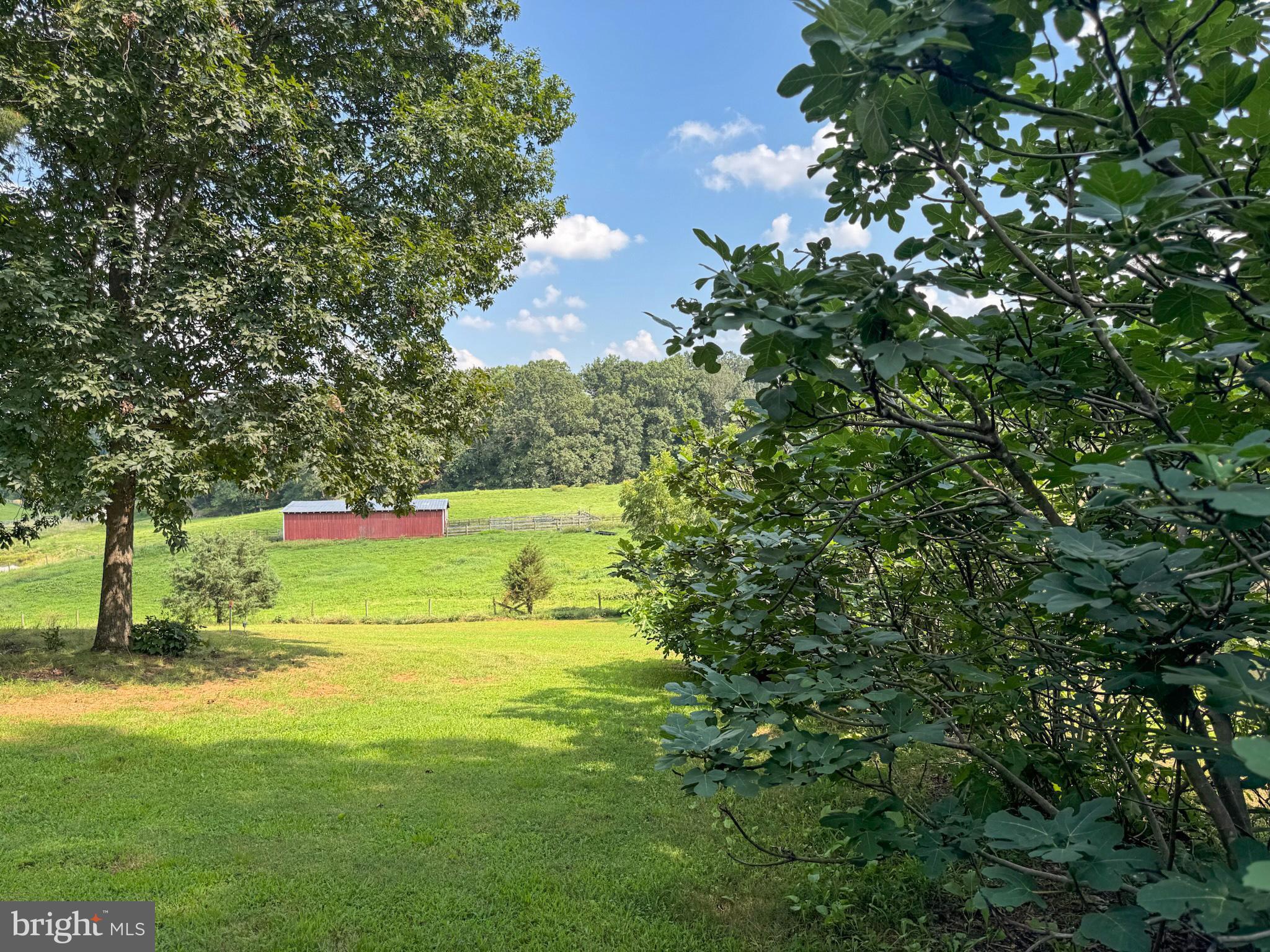 1318 Locust Grove Church Road Orange, VA 22960 - Photo 41 of 42 Open pasture with red barn framed by trees