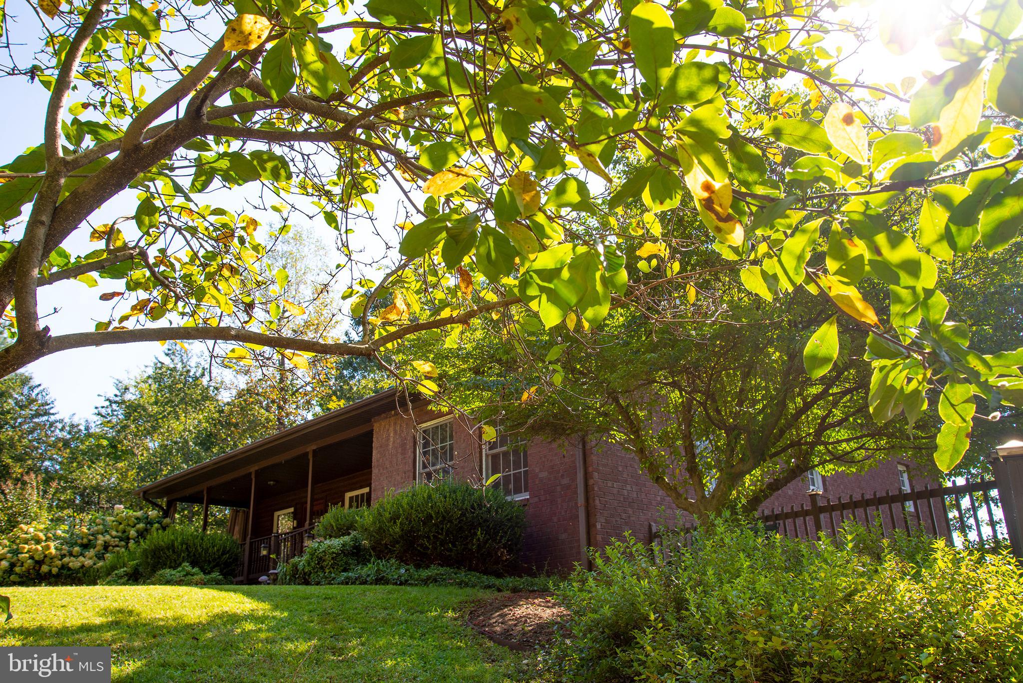 1318 Locust Grove Church Road Orange, VA 22960 - Photo 42 of 42 Charming brick home surrounded by mature trees