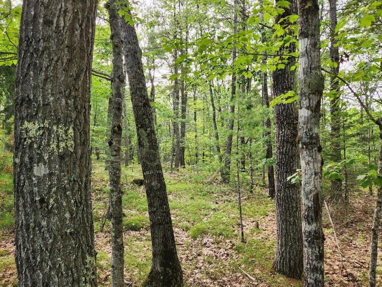 280 Lessner Road Damariscotta, ME 04543 - Photo 44 of 46 Land