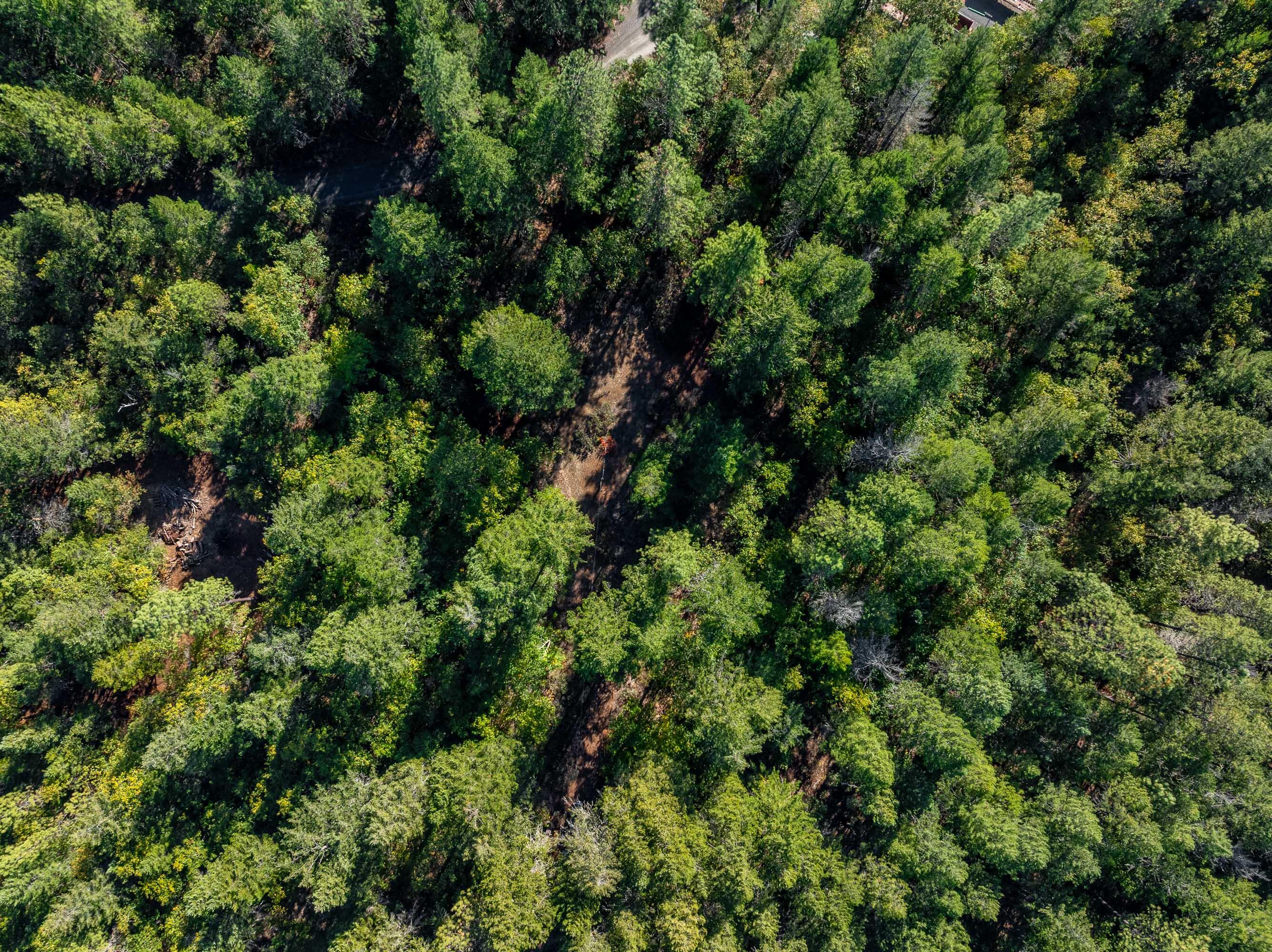 305 Floyd Lane Cave Junction, OR 97523 - Photo 9 of 10 DRONE (5 of 6)