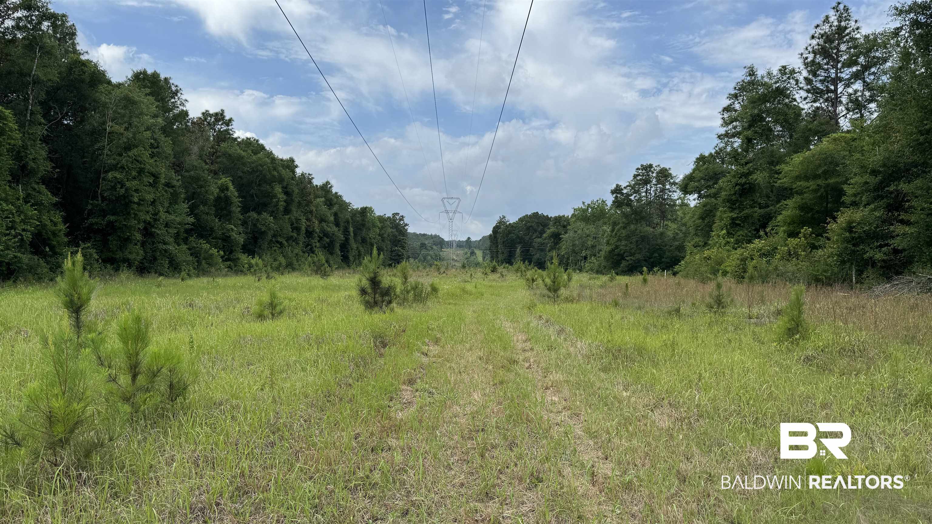 0 US Highway 98 Semmes, AL 36575 - Photo 22 of 24