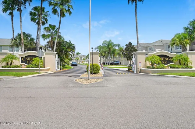 a view of a street with palm trees