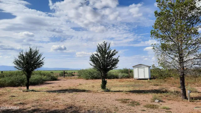 a view of a backyard with large trees