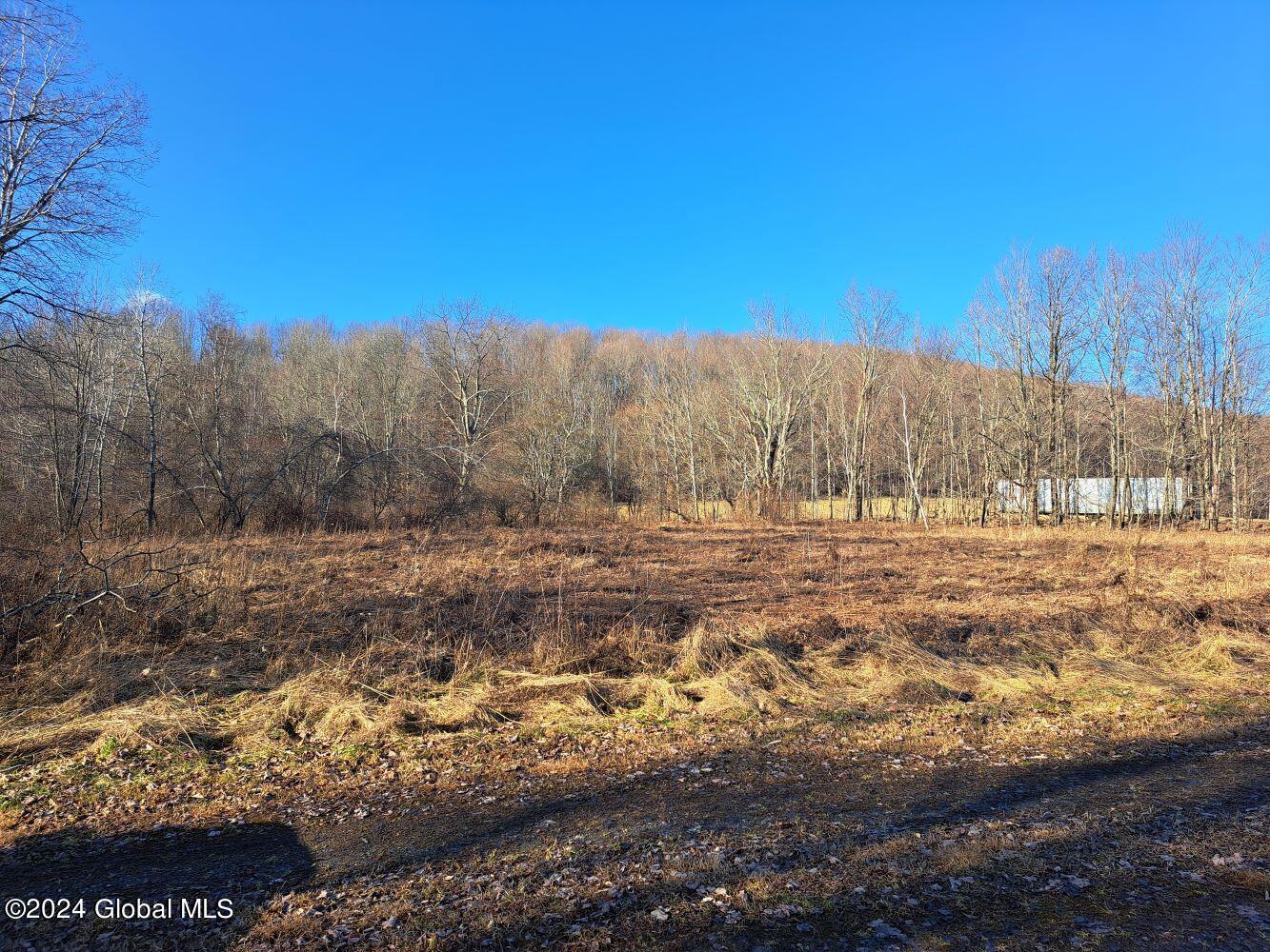 1 First Light Road Hebron, NY 12865 - Photo 40 of 77 20240112_135125