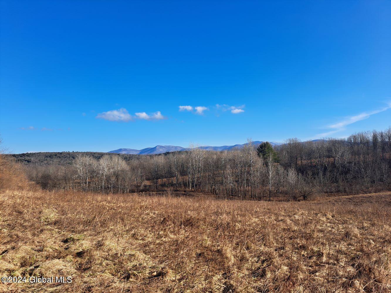 1 First Light Road Hebron, NY 12865 - Photo 47 of 77 20240112_135651