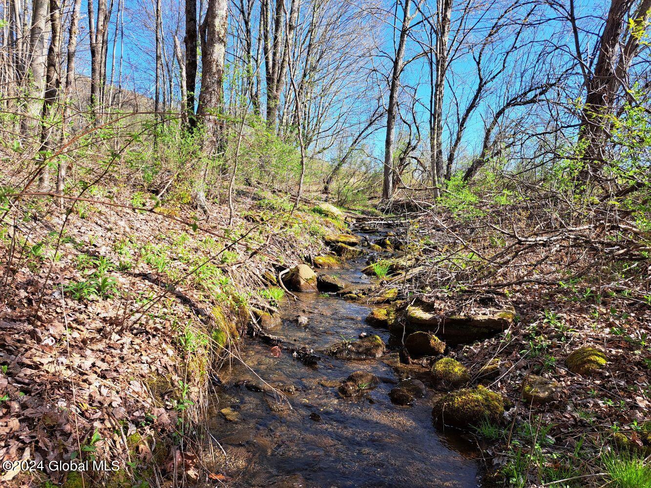 1 First Light Road Hebron, NY 12865 - Photo 48 of 77 20240502_093943