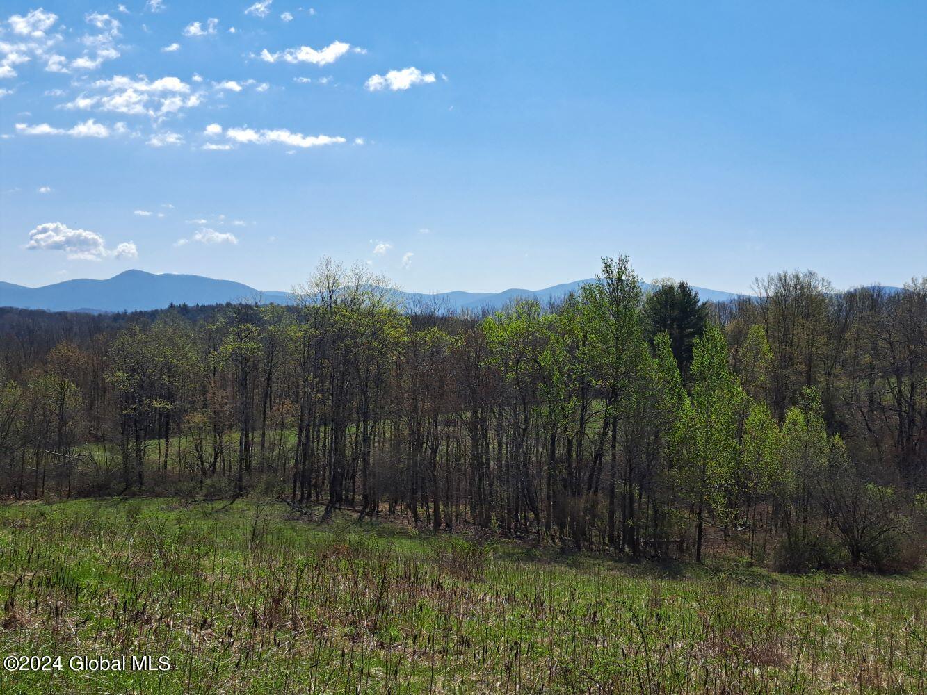 1 First Light Road Hebron, NY 12865 - Photo 49 of 77 20240502_100212