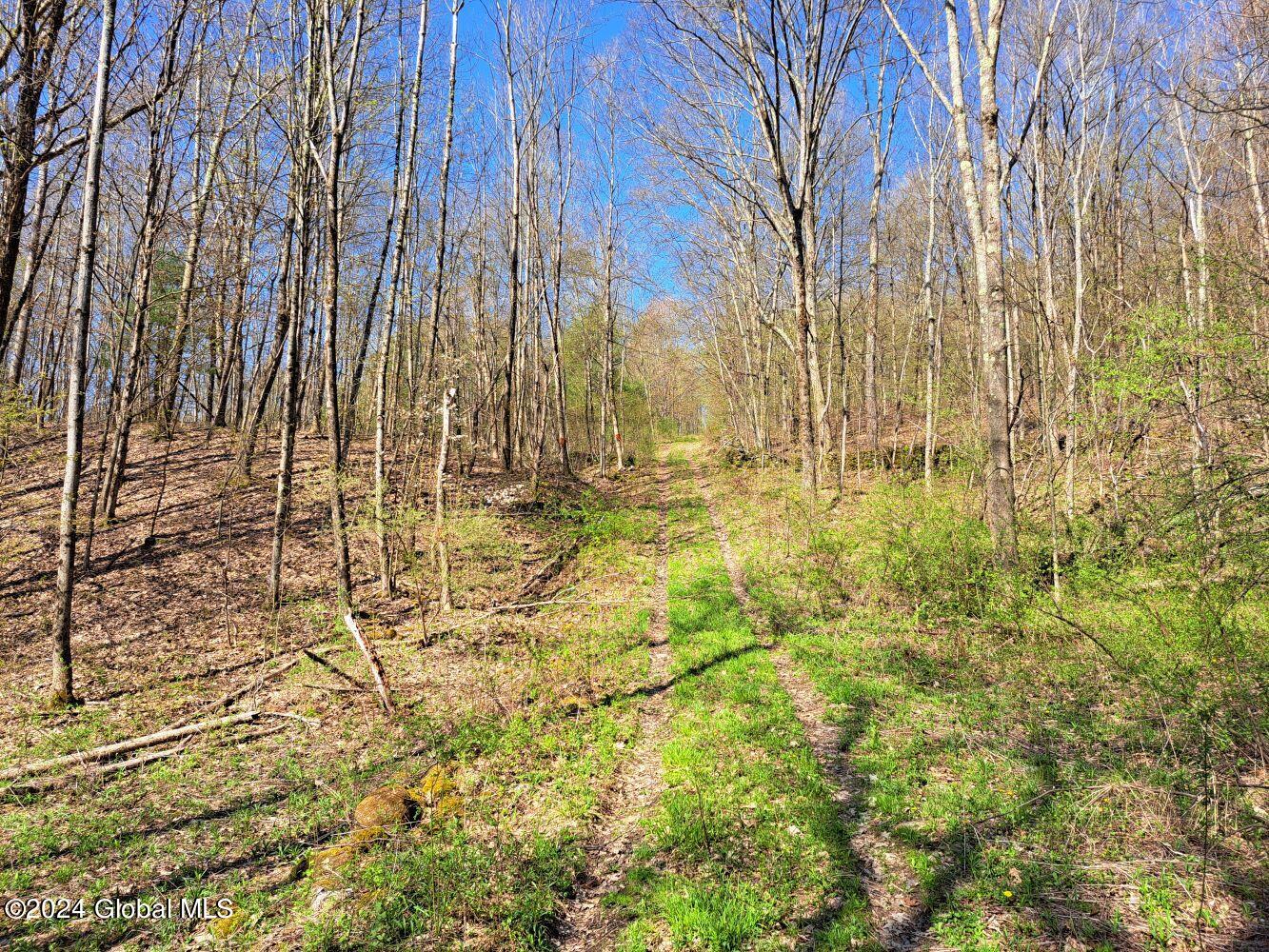 1 First Light Road Hebron, NY 12865 - Photo 51 of 77 20240502_100355