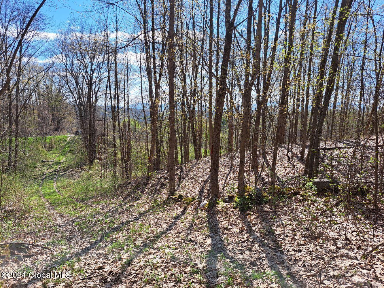 1 First Light Road Hebron, NY 12865 - Photo 52 of 77 20240502_100447