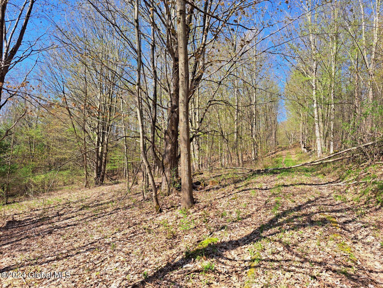 1 First Light Road Hebron, NY 12865 - Photo 53 of 77 20240502_100554