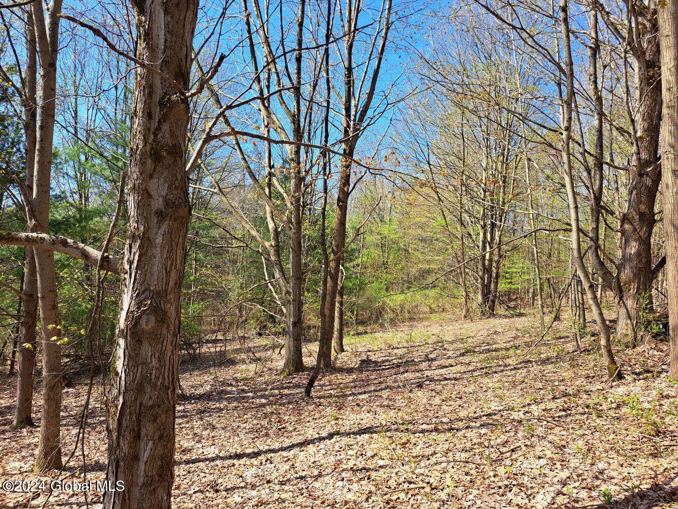 1 First Light Road Hebron, NY 12865 - Photo 54 of 77 20240502_100556