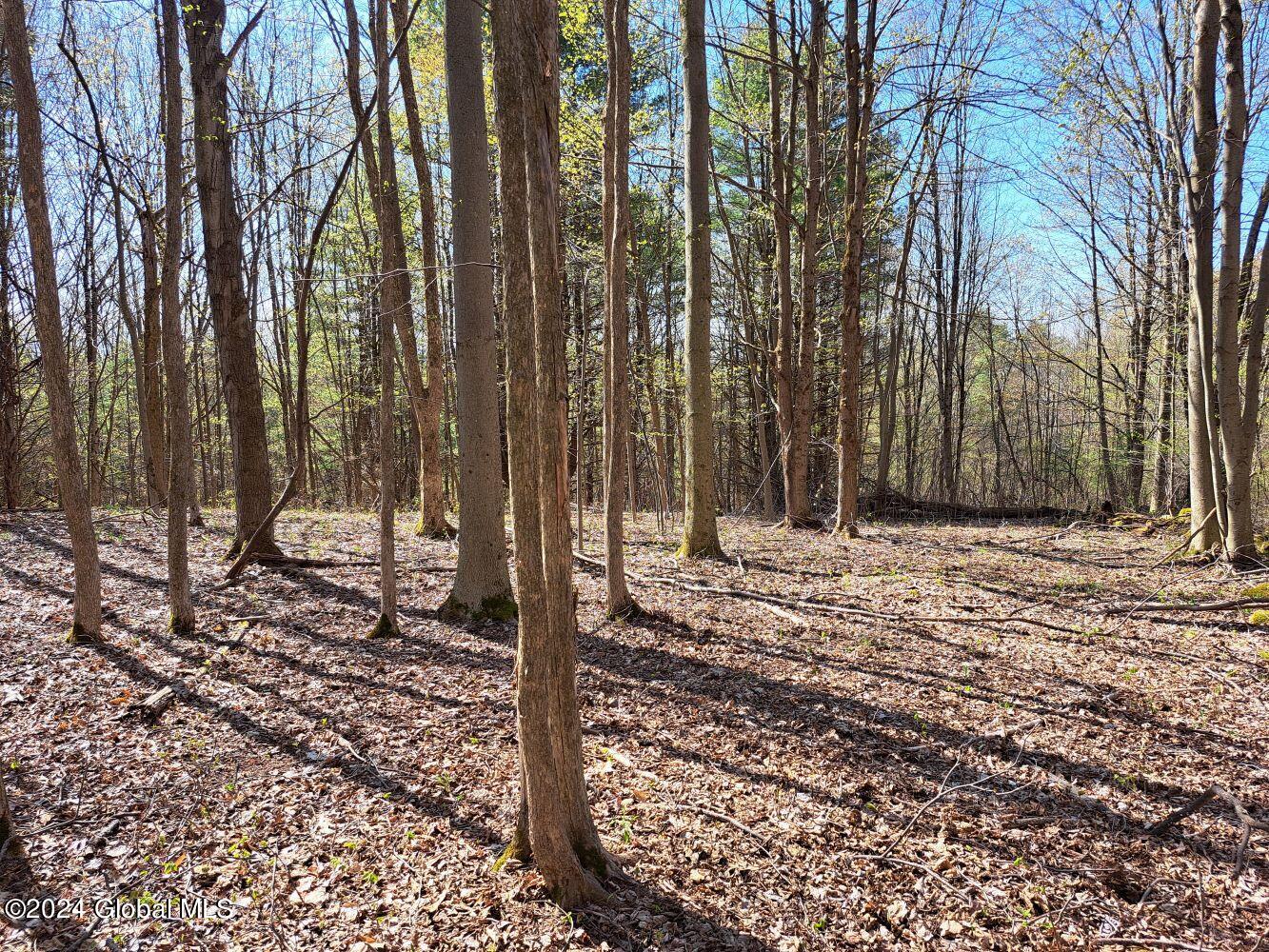 1 First Light Road Hebron, NY 12865 - Photo 55 of 77 20240502_100922