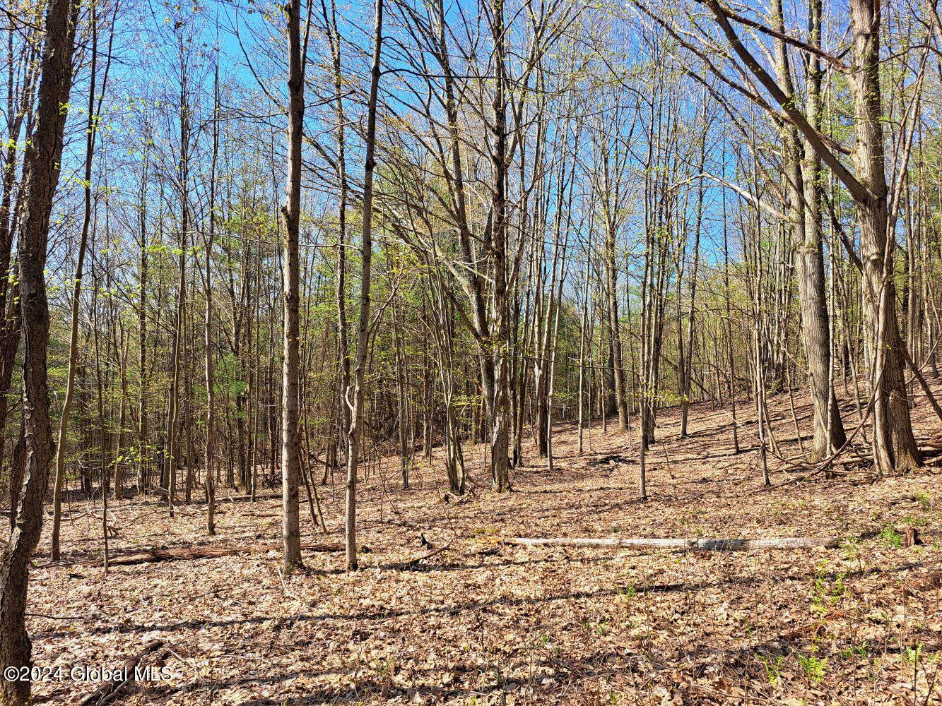 1 First Light Road Hebron, NY 12865 - Photo 56 of 77 20240502_100642