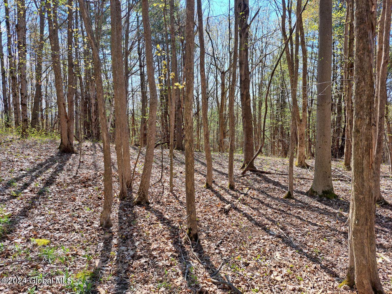 1 First Light Road Hebron, NY 12865 - Photo 57 of 77 20240502_100925