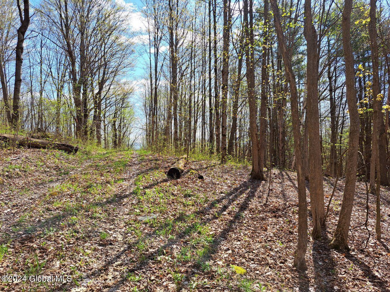 1 First Light Road Hebron, NY 12865 - Photo 58 of 77 20240502_100929