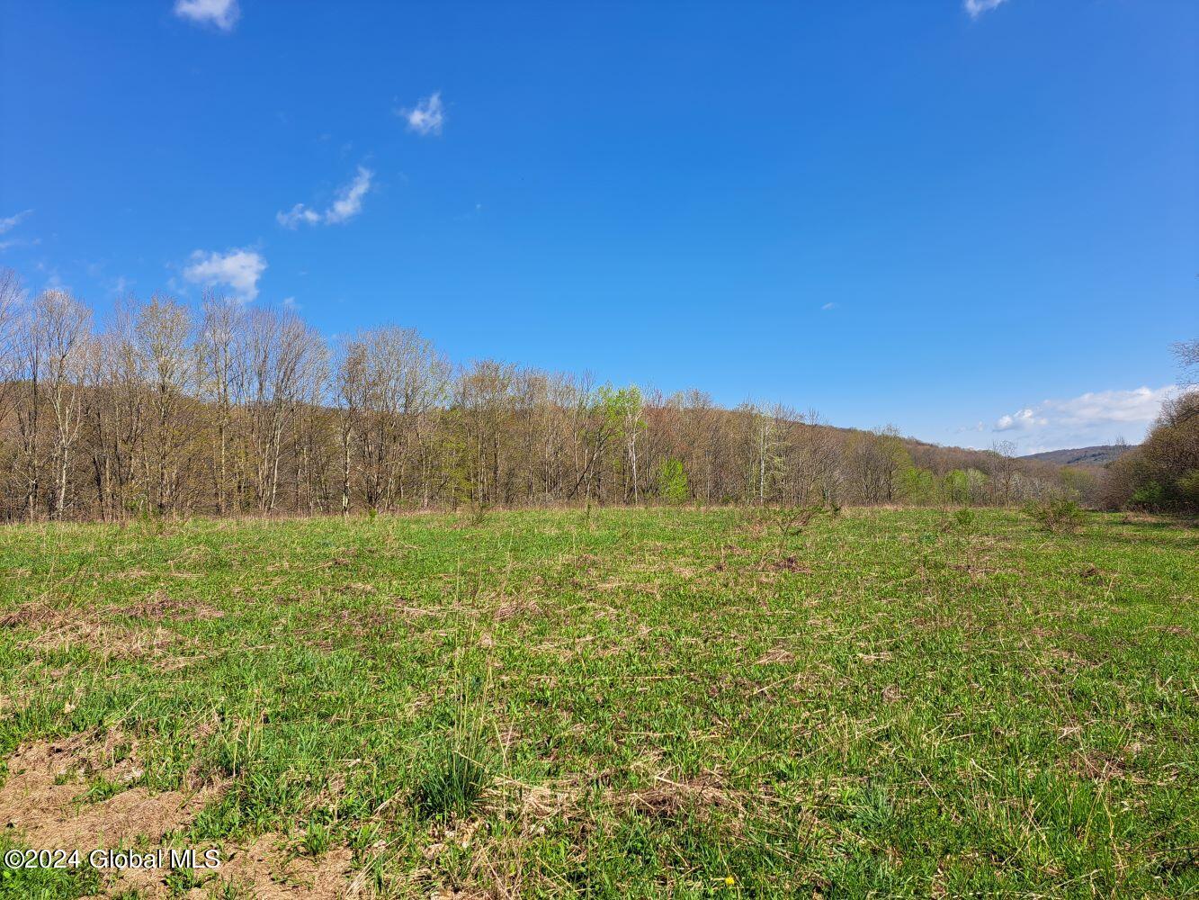 1 First Light Road Hebron, NY 12865 - Photo 60 of 77 20240502_095539