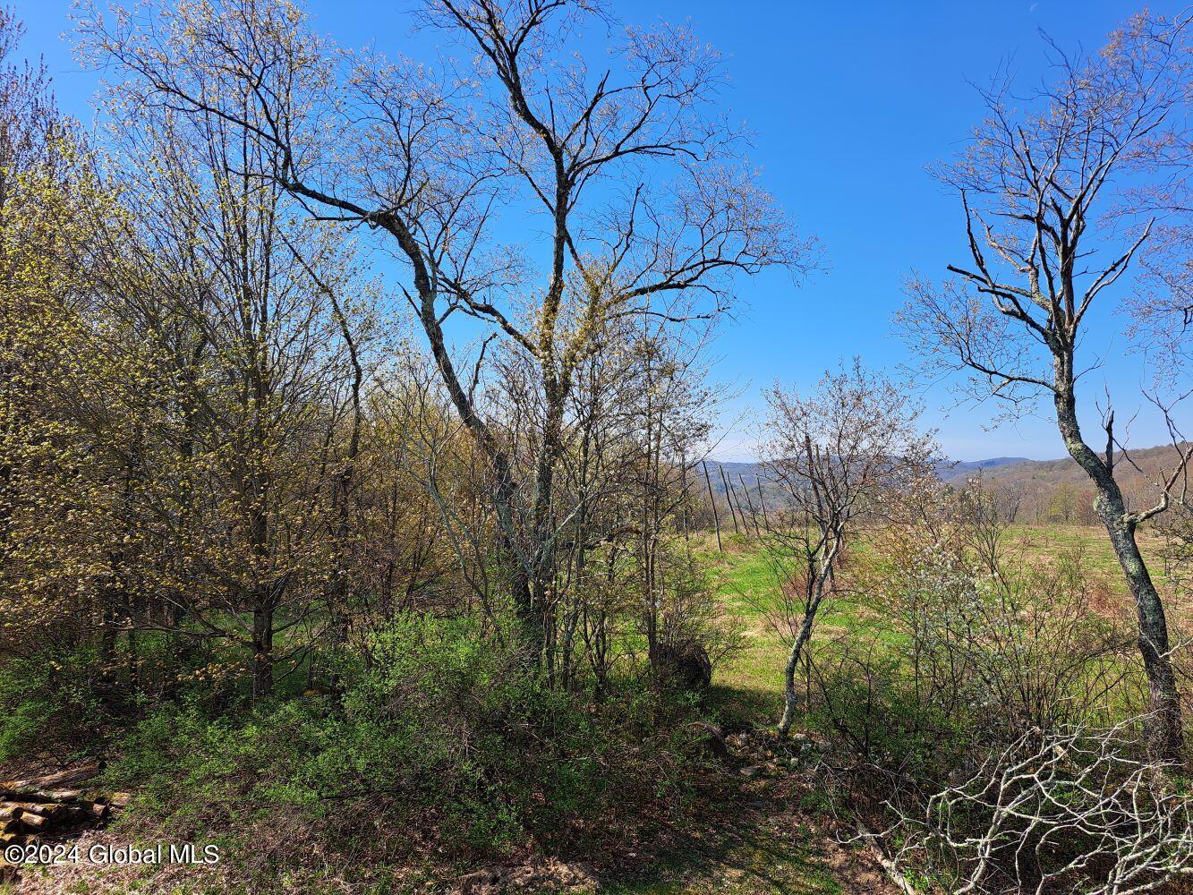1 First Light Road Hebron, NY 12865 - Photo 9 of 77 20240502_095431