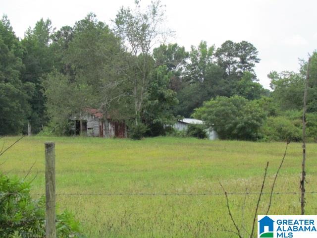 0 Old Springville Road Odenville, AL 35120 - Photo 2 of 4