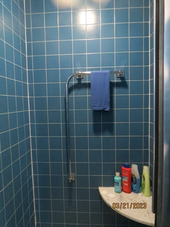 17 Bowl Road Chelmsford, MA 01824 - Photo 21 of 30 a bathroom with a potted plant and blue shower