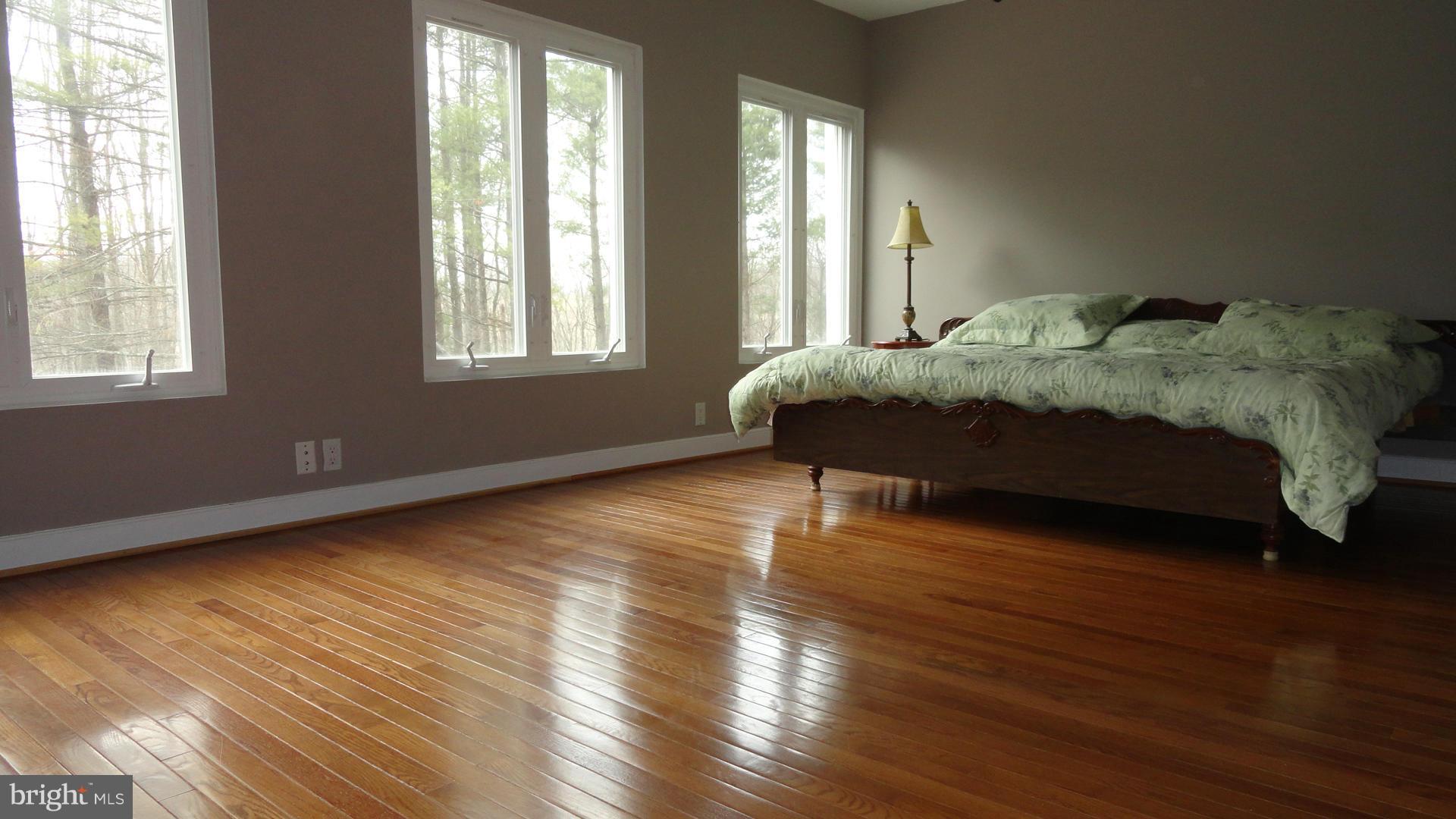 16335 Hamilton Station Road Waterford, VA 20197 - Photo 12 of 30 Bedroom (Master)