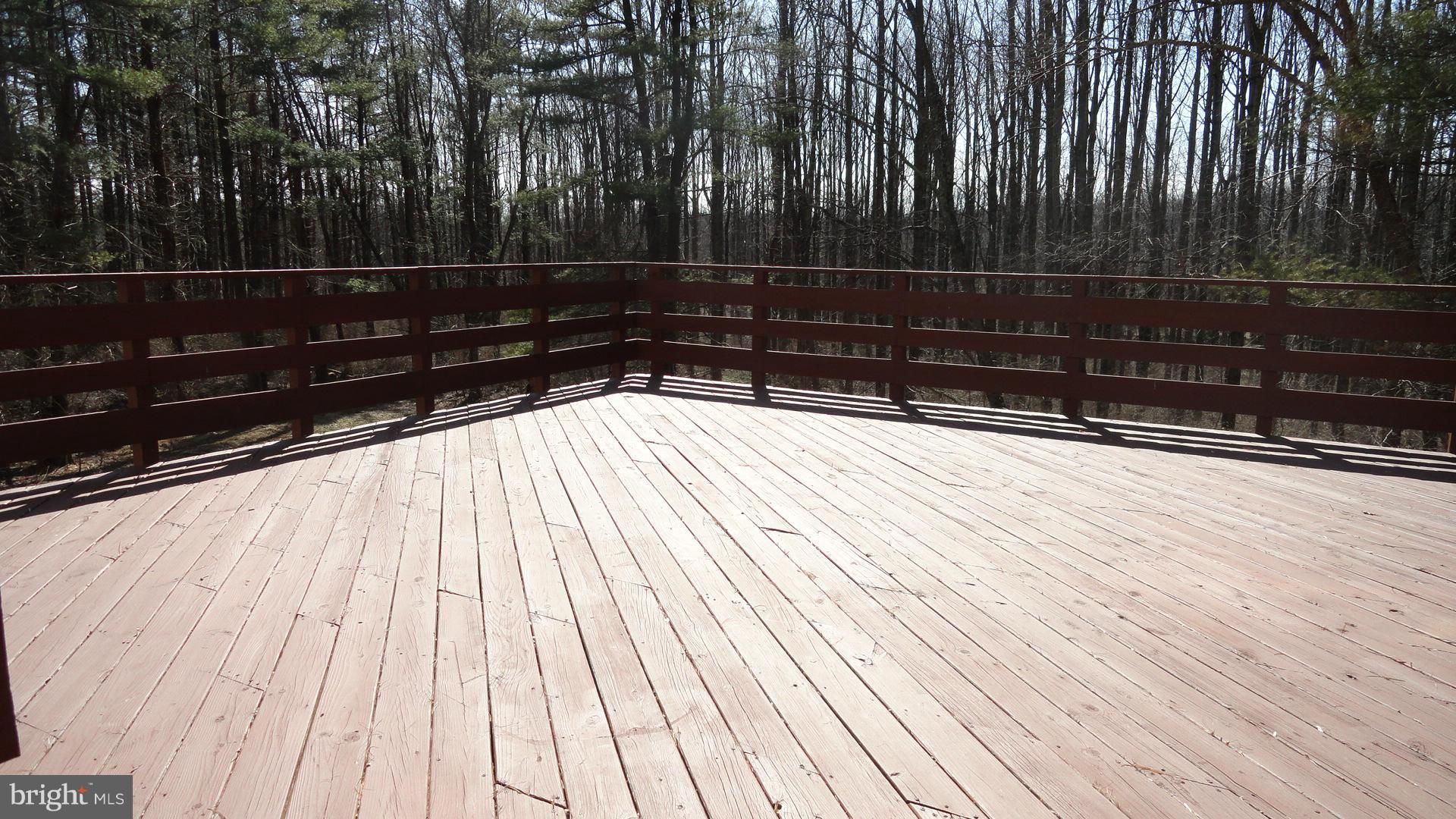 16335 Hamilton Station Road Waterford, VA 20197 - Photo 26 of 30 Exterior (Rear)