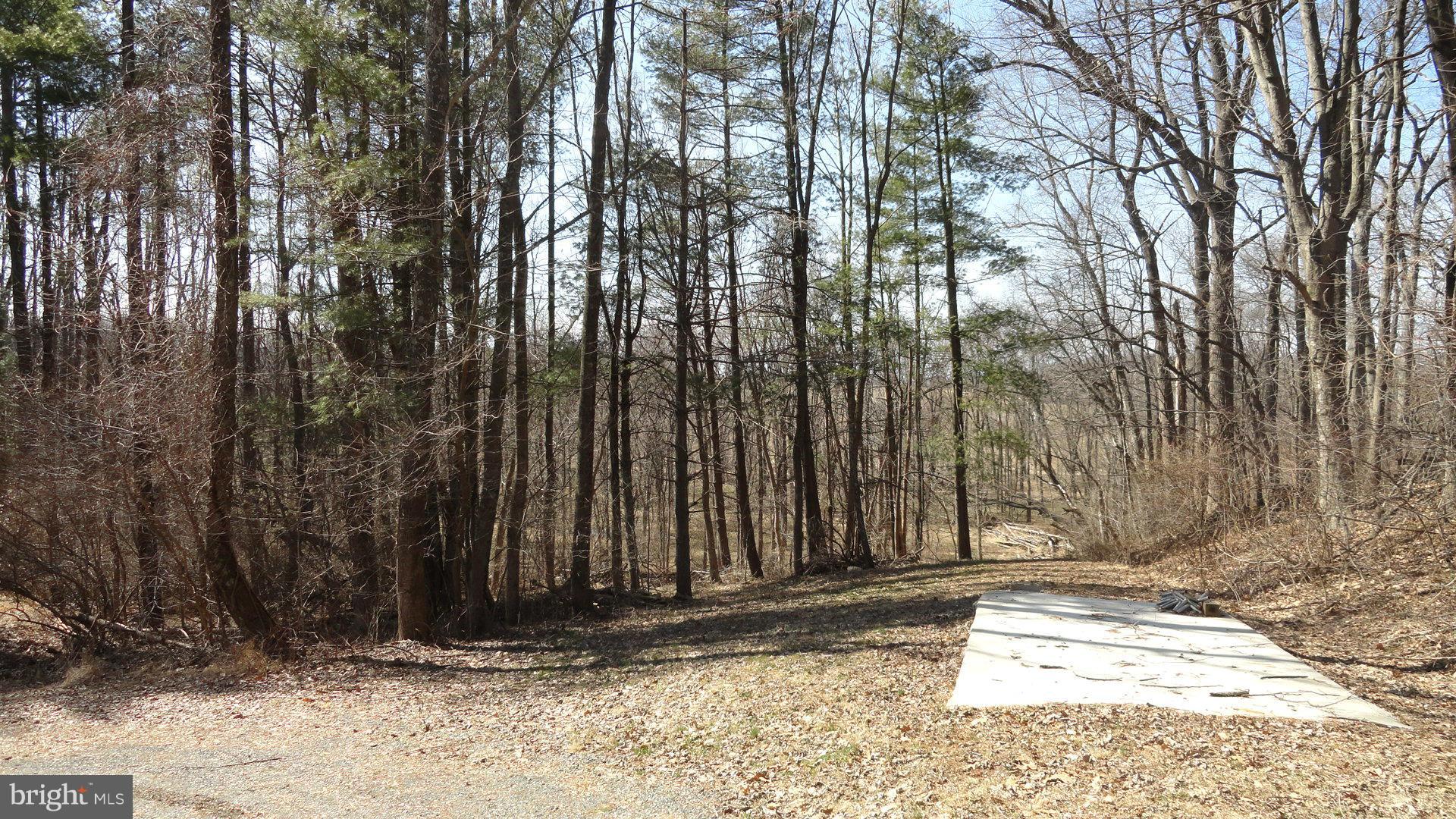 16335 Hamilton Station Road Waterford, VA 20197 - Photo 30 of 30 Exterior (Rear)
