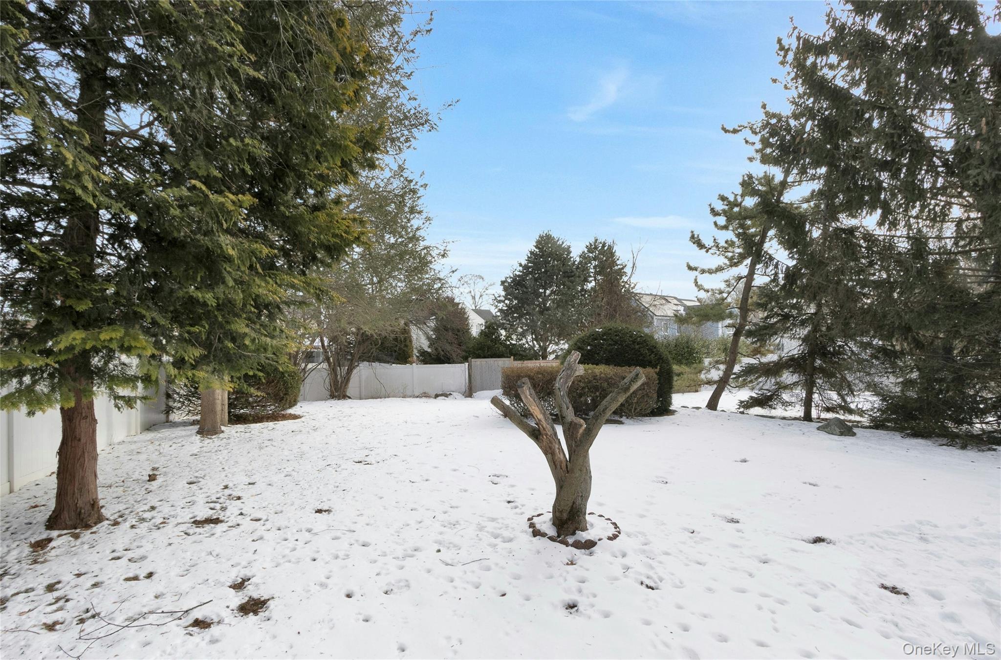 59 Sylvan Road Port Chester, NY 10573 - Photo 29 of 35 Huge backyard