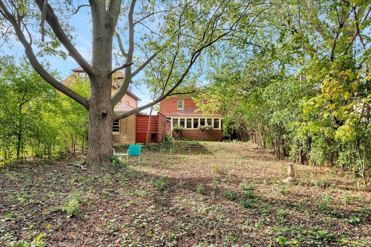 9527 South Damen Avenue Chicago, IL 60643 - Photo 27 of 30 a dirt road with large trees