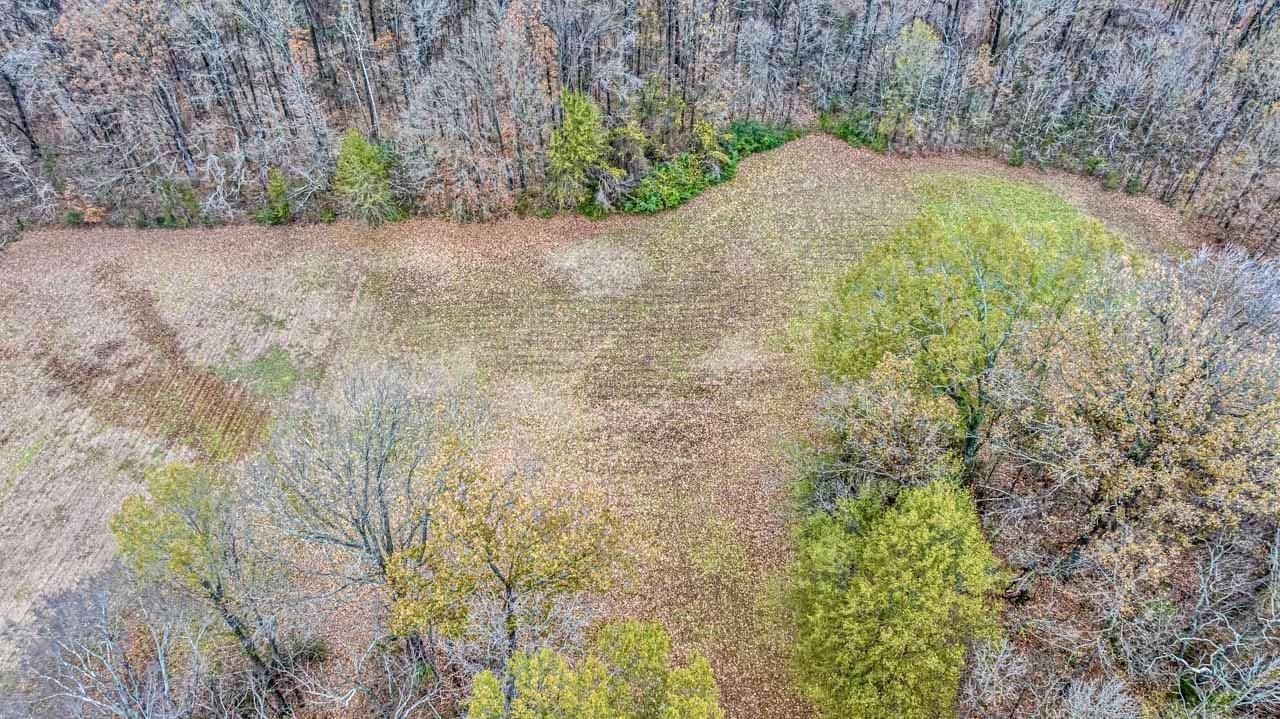 3876 West Union Road Millington, TN 38053 - Photo 18 of 40 Drone / aerial view of a forest
