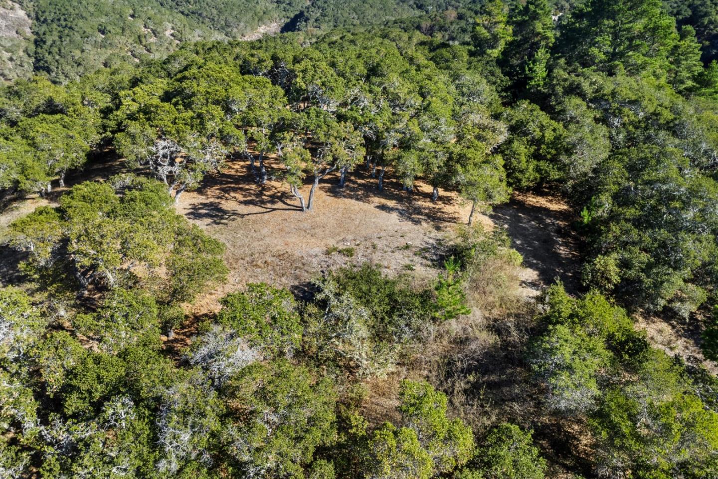 9 Corral Run Carmel, CA 93923 - Photo 2 of 19 a view of outdoor space and a yard
