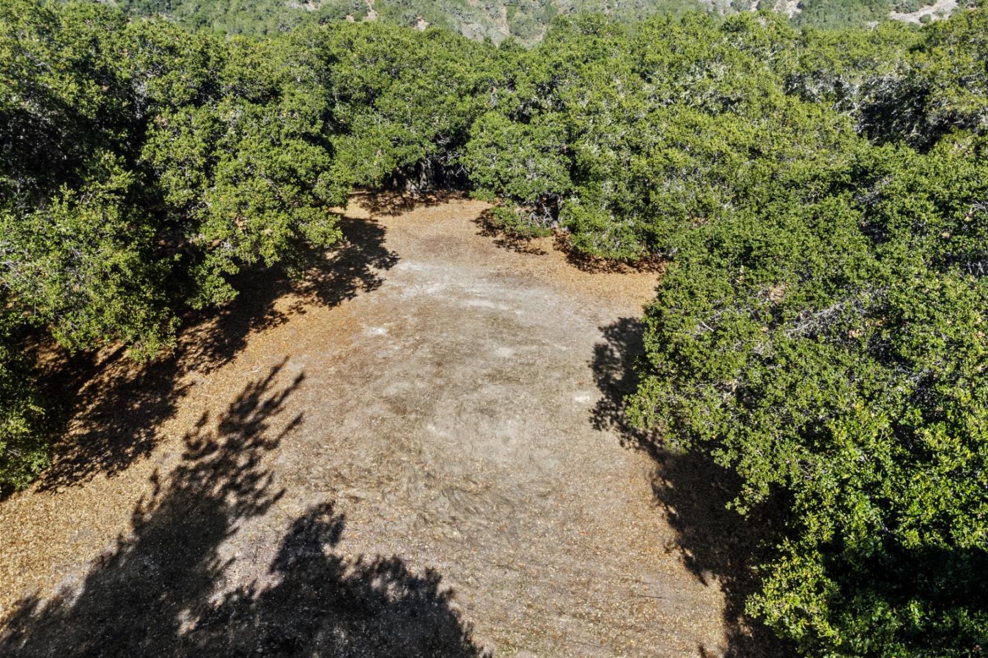 9 Corral Run Carmel, CA 93923 - Photo 3 of 19 a view of a forest with a tree
