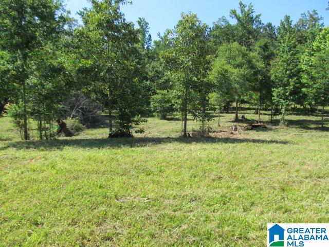 0 Choctaw Trail, Unit 10 Hayden, AL 35079 - Photo 5 of 24