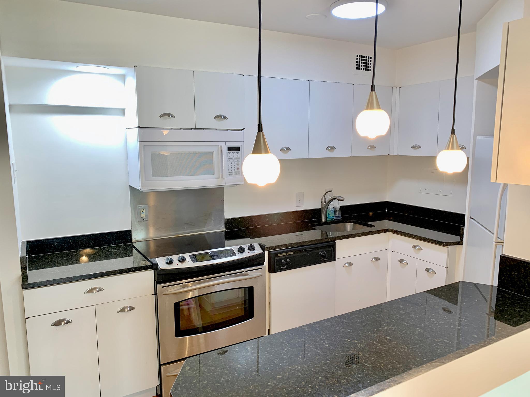 530 N Street Southwest, Unit S408 Washington, DC 20024 - Photo 8 of 25
