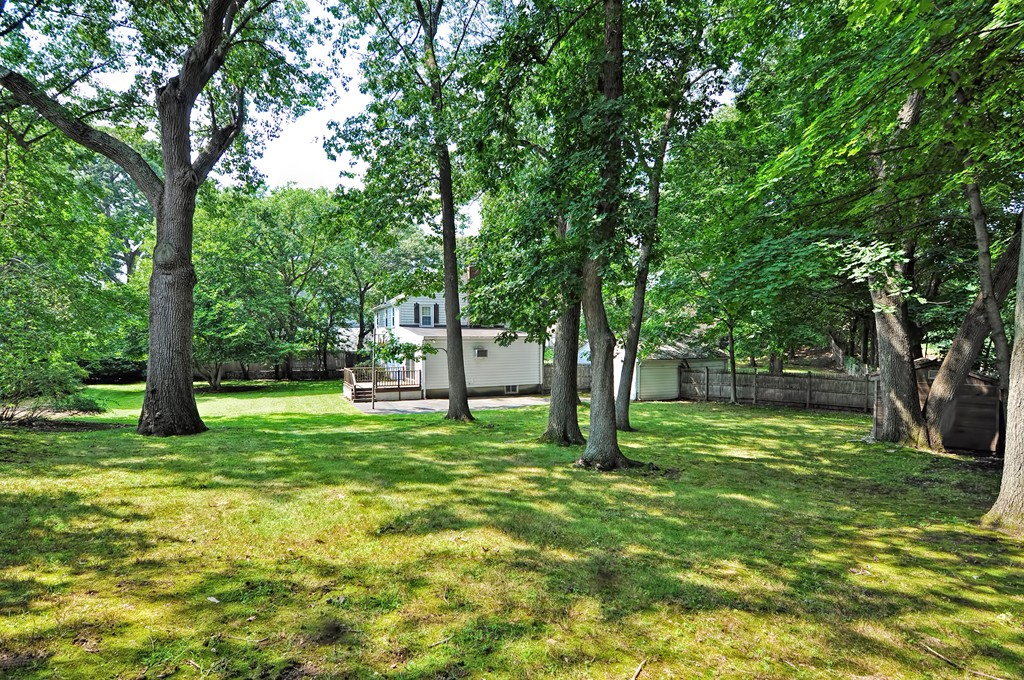 103 Pine Ridge Road Medford, MA 02155 - Photo 5 of 30