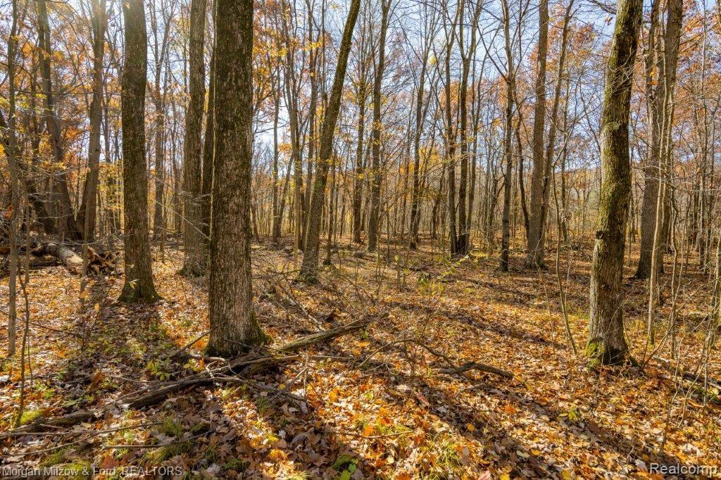 0 Tucker Road Walled Lake, MI 48390 - Photo 6 of 16