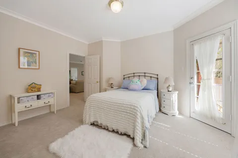 a view of a backyard with potted plants and large trees