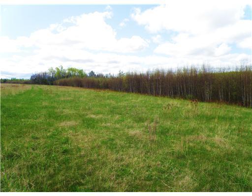 0 Flat & Berry Roads Alexander, ME 04694 - Photo 8 of 21 Land/Lot. nice fields to do with...