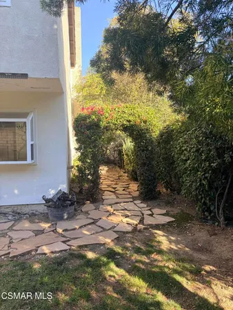 a view of a yard with plants and large trees