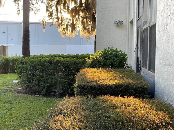 $1,750 | 102 Palmetto Court, Unit 2, Oldsmar, FL 34677